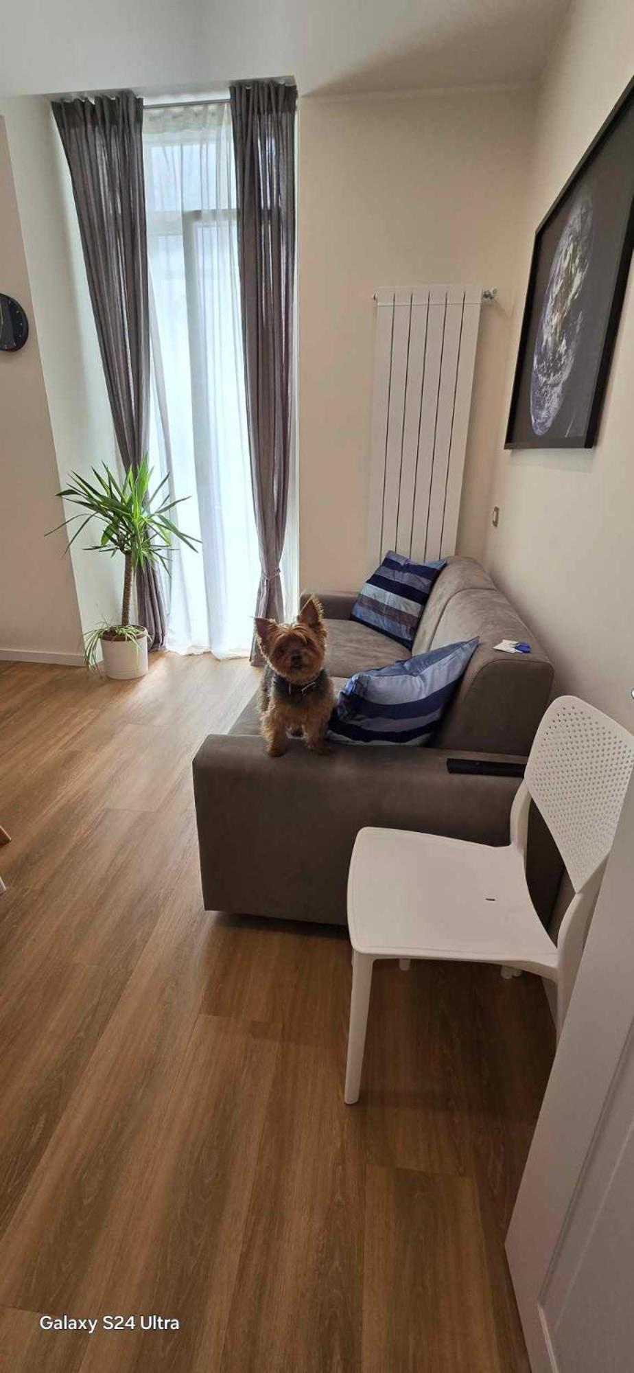 The Dream Apartment 100 M Dal Mare Savona Bagian luar foto